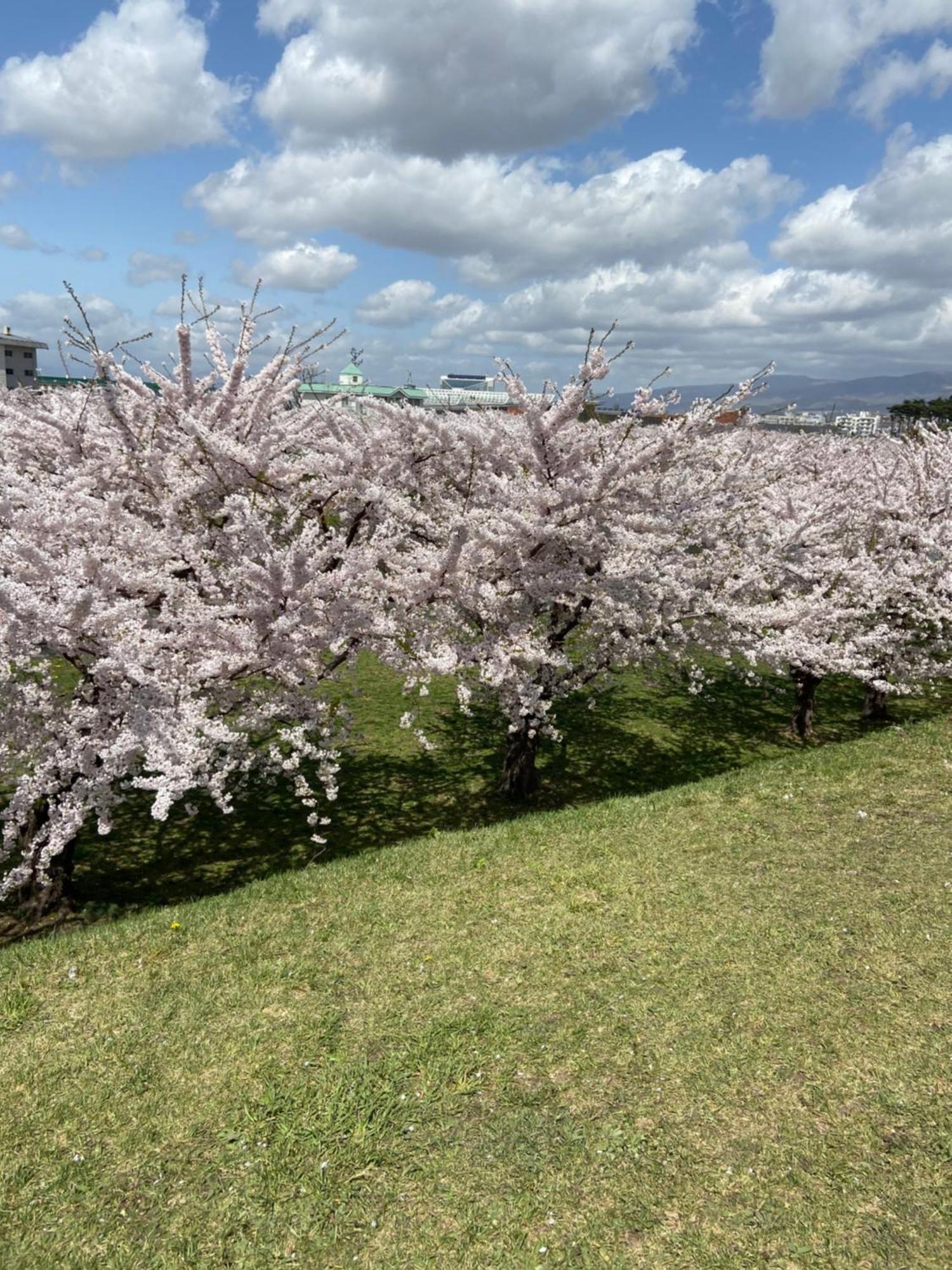 Yunohama Hotel Hakodate Exteriér fotografie