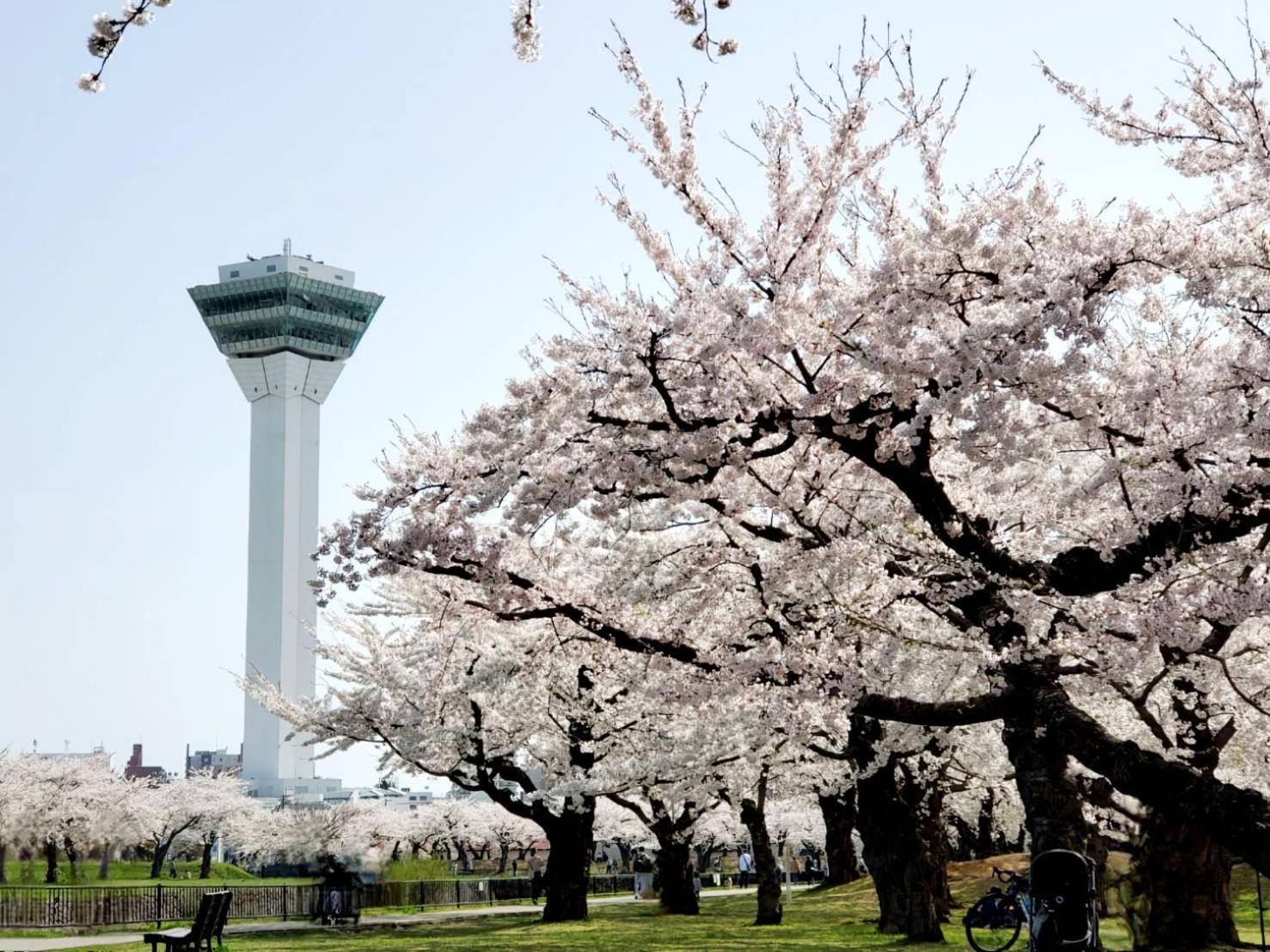 Yunohama Hotel Hakodate Exteriér fotografie