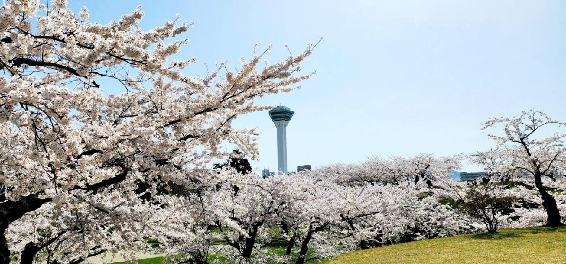 Yunohama Hotel Hakodate Exteriér fotografie